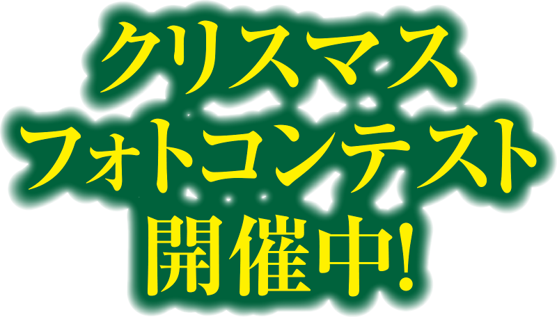 クリスマスフォトコンテスト開催中！